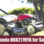 Honda HRX217HYA for Sale: Know the best price!