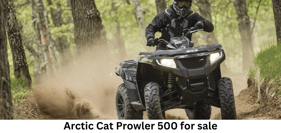 Arctic Cat Prowler 500