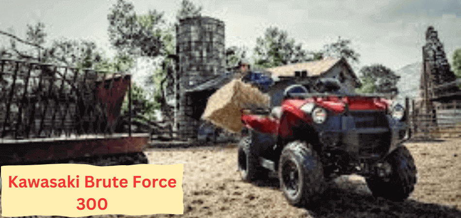 Kawasaki Brute Force 300, kawasaki brute force 300 for sale, kawasaki brute force 300 top speed, kawasaki 300 brute force,  kawasaki brute force 300 reviews, kawasaki brute force 300 accessories