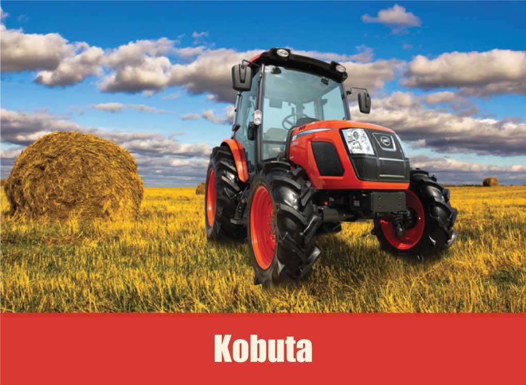 Key features of Kobuta