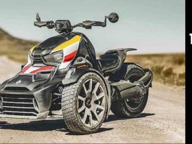 Can-Am Ryker problems